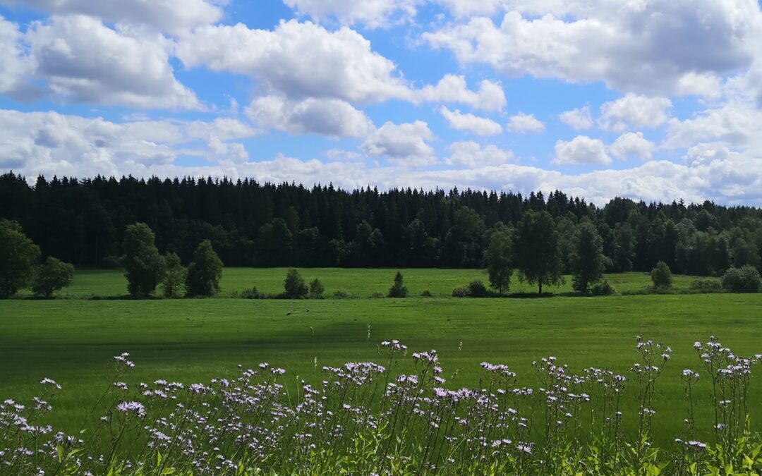 Sommarledighet – vill du boka en tid?